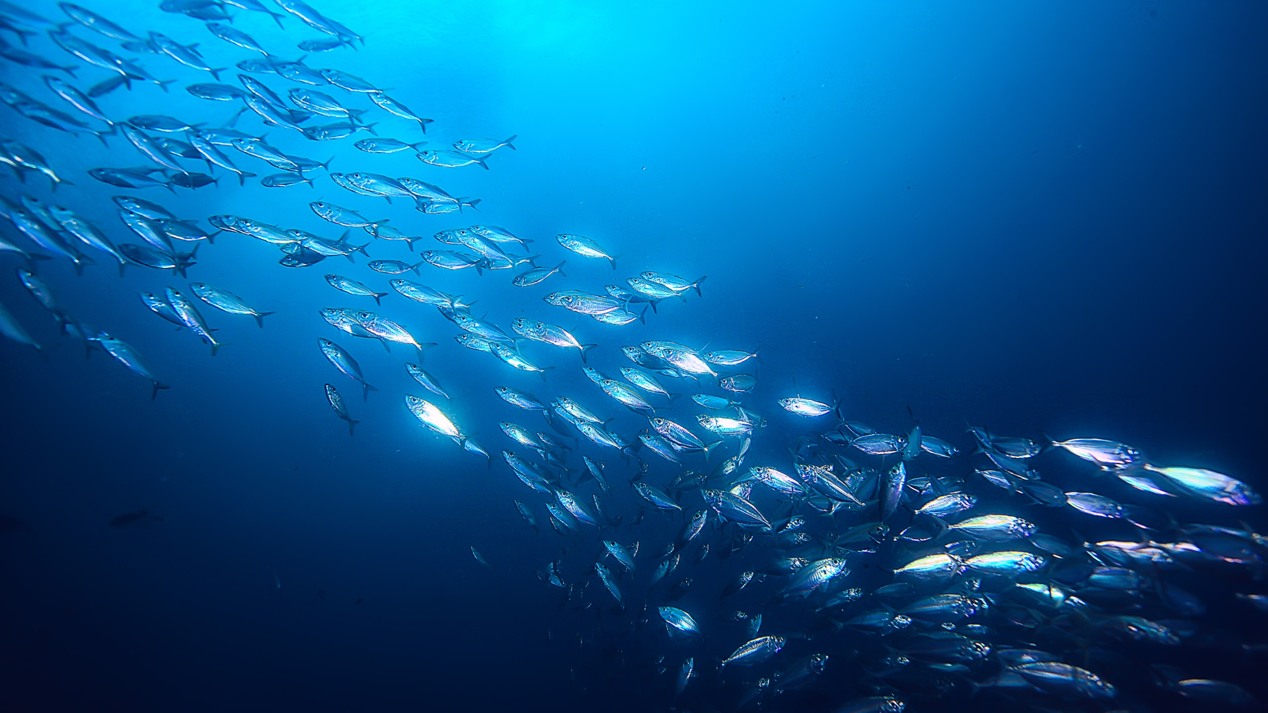 Künstliche Intelligenz